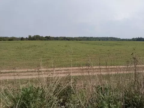 Участок в Калужская область, Боровский муниципальный округ, д. ...