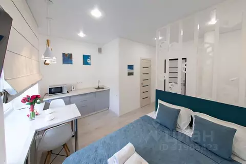 1-к кв. Татарстан, Альметьевск ул. Ленина, 48 (16.0 м)