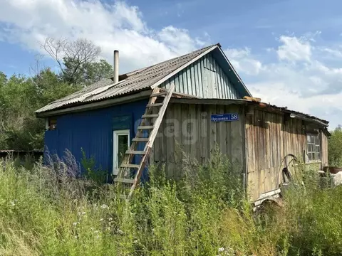 Дом в Амурская область, Свободный Прудовая ул., 58 (31 м)