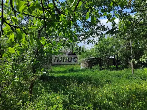 Участок в Москва д. Расторопово, Дубрава СНТ, 10 (6.5 сот.)