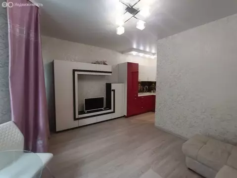 Квартира-студия: деревня Новая Купавна, 3 (25.1 м)