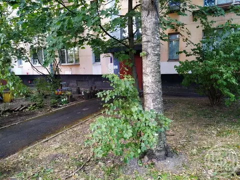 3-к кв. Санкт-Петербург ул. Костюшко, 70 (41.7 м)