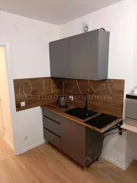 Студия Санкт-Петербург ул. Гудиловская, 9 (20.51 м)