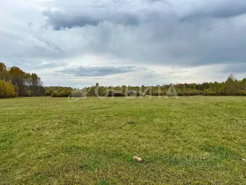 Участок в Свердловская область, Слободо-Туринский район, ...