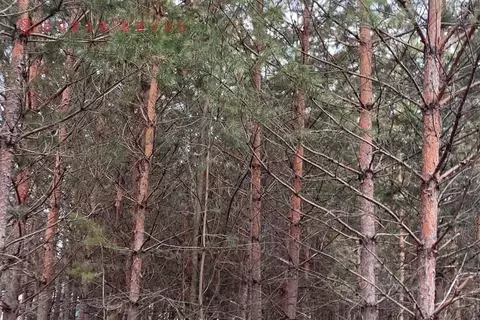 Участок в Самарская область, Волжский район, Курумоч с/пос, пос. ...