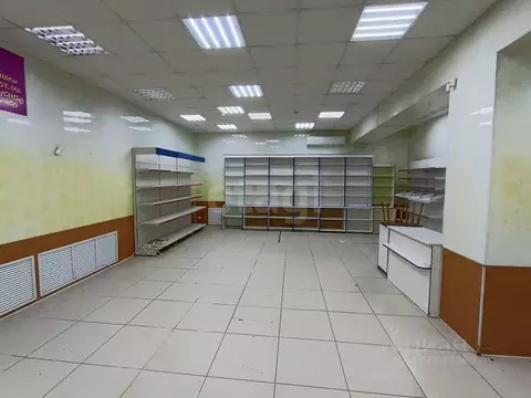 Помещение свободного назначения в Владимирская область, Владимир ...