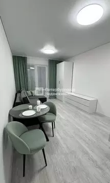 Студия Санкт-Петербург ул. Ультрамариновая, 5 (24.1 м)