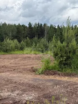 Участок в Ленинградская область, Всеволожский район, Колтушское ...