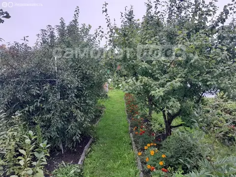 Участок в Вологодская область, Шекснинский муниципальный округ, ...