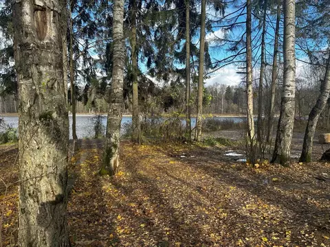 Участок в Московская область, Волоколамский муниципальный округ, ...