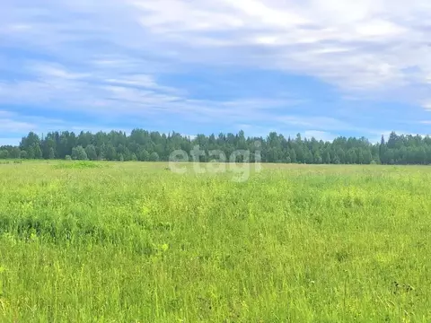 Участок в Коми, Сыктывдинский муниципальный район, с. Выльгорт  (520.0 ...