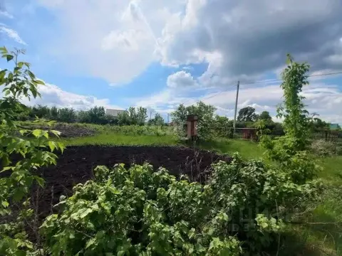 Участок в Башкортостан, Стерлитамакский район, Наумовский сельсовет, ...