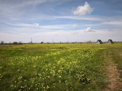 Участок в Крым, Черноморский район, с. Окуневка ул. Крупской (12.4 ...