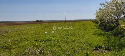 Участок в Марий Эл, Медведевский район, Ежовское с/пос, с. Ежово ул. ...