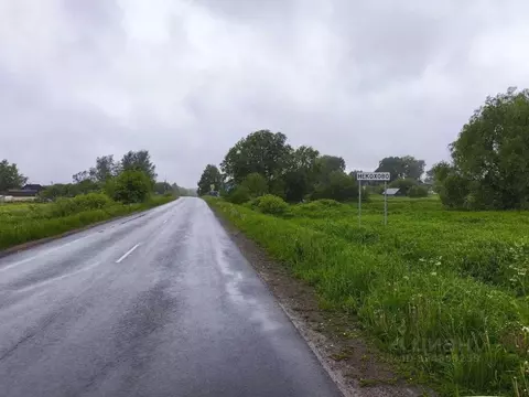 Участок в Новгородская область, Новгородский район, Трубичинское ...