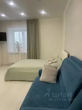 Студия Тюменская область, Тюмень ул. Дружбы, 73к4 (30.0 м)