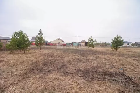 Участок в Алтайский край, Первомайский район, пос. Новый ул. 2-я ...