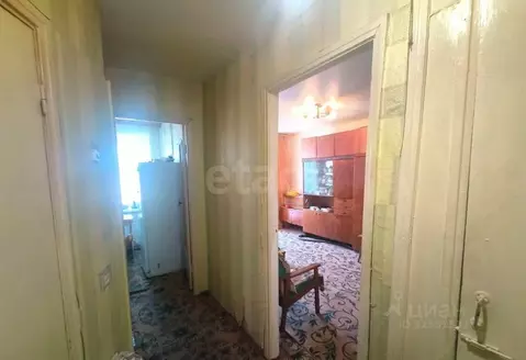 1-к кв. Владимирская область, Покров городской округ, д. Головино ул. ...