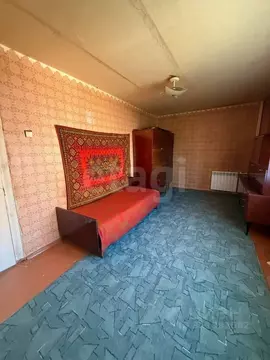 1-к кв. Тульская область, Тула пос. Косая Гора, Луговая ул., 18 (28.8 ...