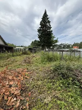 Участок в Московская область, Щелково городской округ, Березка СНТ ул. ...
