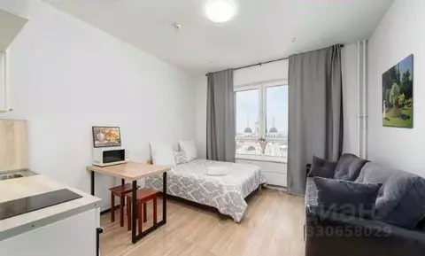 Студия Москва Внуковское поселение, ул. Летчика Ульянина, 3А (30.0 м)