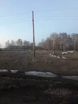Участок в Кемеровская область, Кемеровский район, пос. Кузбасский ул. ...