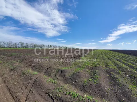 Участок в Ставропольский край, Предгорный муниципальный округ, пос. ...