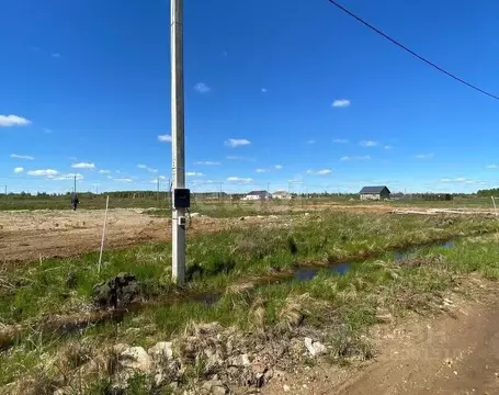 Участок в Костромская область, Красносельский район, Гридинское с/пос, ...