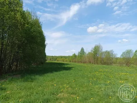 Участок в Ленинградская область, Выборгский район, пос. Поляны  (350.0 ...