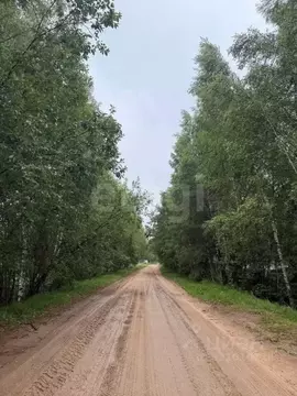 Участок в Тверская область, Кимрский муниципальный округ, д. Юминское  ...