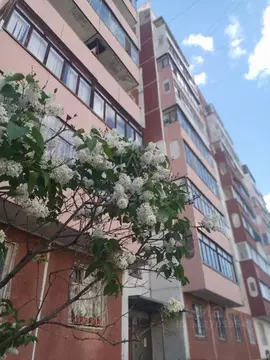 1-к кв. Новосибирская область, Новосибирск Затулинский жилмассив, ул. ...