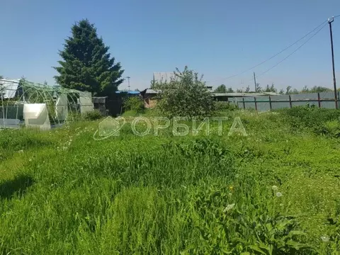 Участок в Тюменская область, Тюмень Садовое товарищество Липовый ...