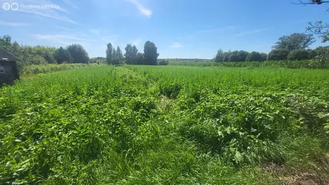 Дом в деревня Щегловка, Центральная улица, 57 (45 м)