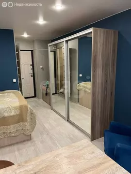 Квартира-студия: Тюмень, Олимпийская улица, 22 (17 м)