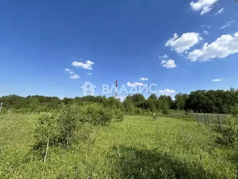 Участок в Владимирская область, Лакинск г. Собинский муниципальный ...