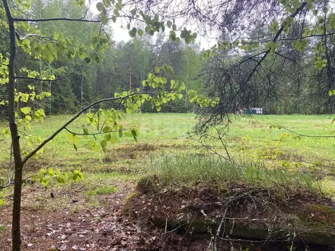 Участок в Архангельская область, Котлас муниципальное образование, д. ...