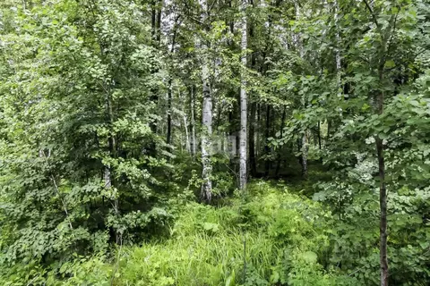 Участок в Тюменская область, Нижнетавдинский муниципальный округ, ...