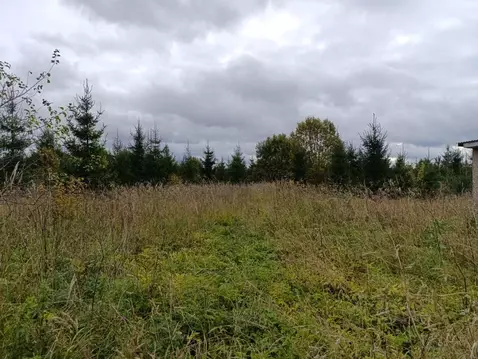 Участок в Ленинградская область, Волосовский район, Калитинское с/пос, ...