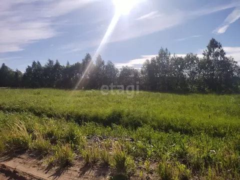 Участок в Коми, Сыктывдинский район, с. Выльгорт, пос. Снегири  (10.0 ...