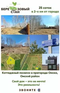 Участок в Омская область, Омский район, с. Надеждино, Березовый Стан ...