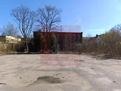Помещение свободного назначения в Калининградская область, Черняховск ...