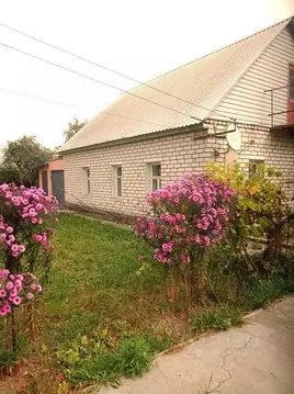 Дом в Брянская область, Фокино ул. Дзержинского (64 м)