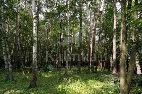 Участок в Московская область, Одинцовский городской округ, пос. ...