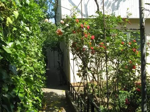 Дом в Крым, Ялта ул. Спендиарова, 14 (48 м)