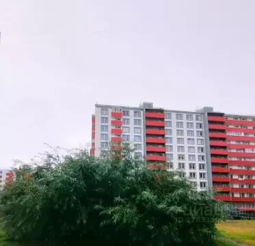 Студия Санкт-Петербург пос. Шушары, Московское ш., 262к4 (25.2 м)