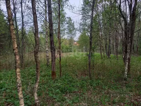 Участок в Ленинградская область, Всеволожский район, Куйвозовское ...