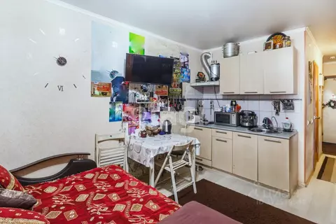 Студия Вологодская область, Вологда ул. Маршала Конева, 26 (28.0 м)