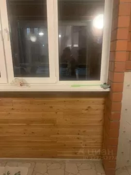 Студия Иркутская область, Иркутск ул. Пискунова, 148/5 (24.9 м)