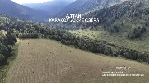 Участок в Алтай, Чемальский район, Элекмонарское с/пос, Седьмое Небо ...