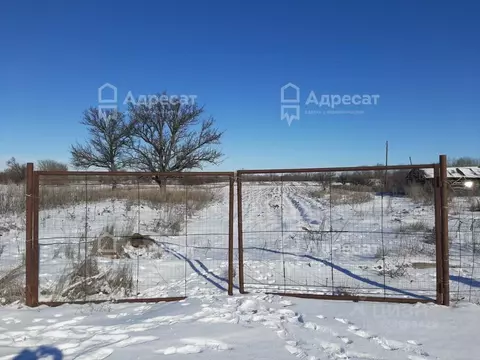 Участок в Волгоградская область, Городищенский район, Паньшинское ...